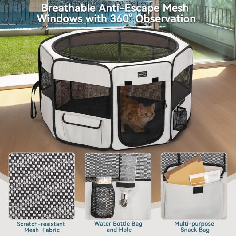 Product Reviews 4 PETSFIT Portable Dog