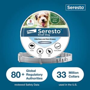Seresto Flea & Tick Collar