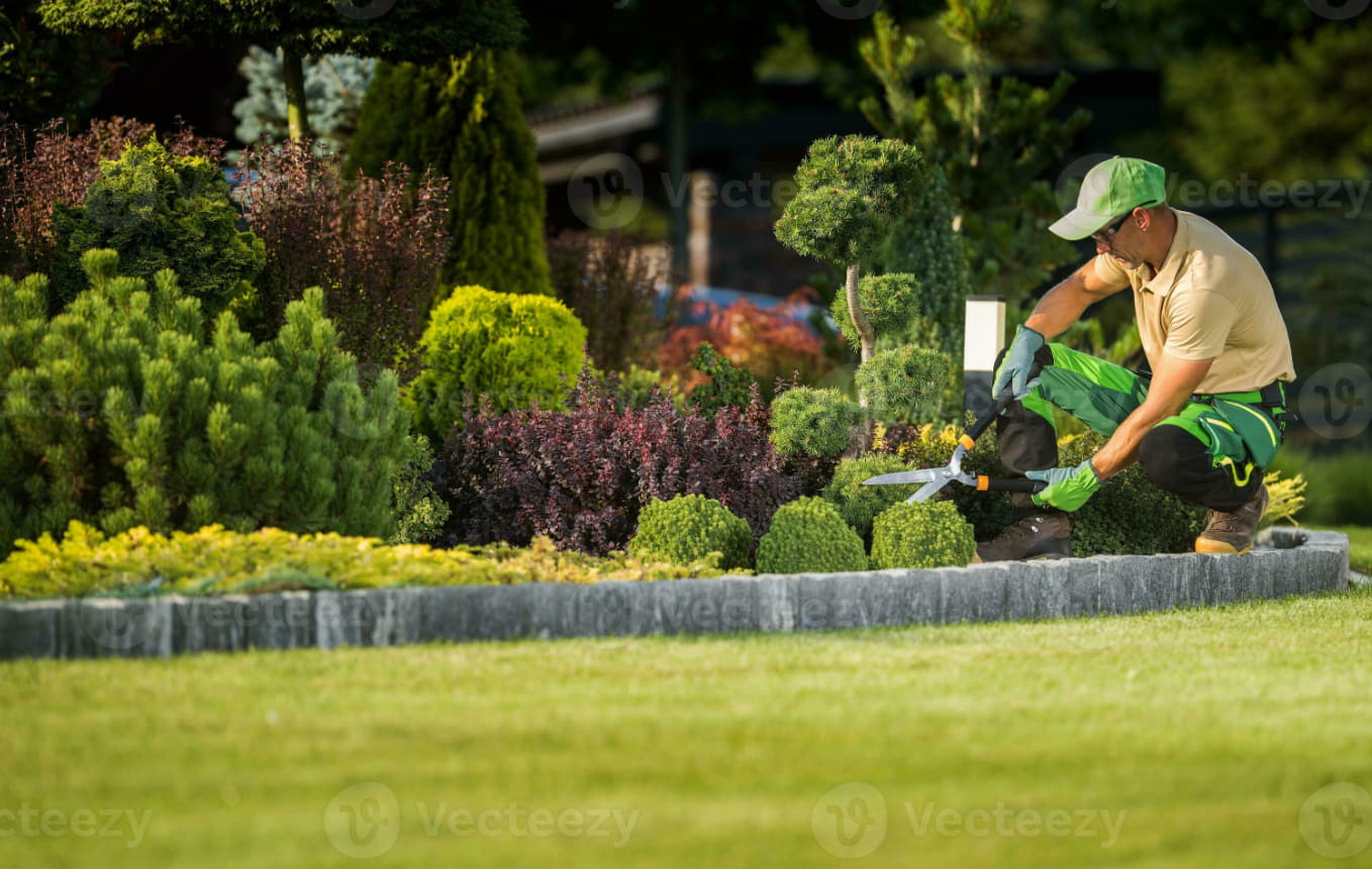 Expert Guide to Landscaping Services Near You for a Beautiful Landscape 1 Expert Guide to Landscaping Services