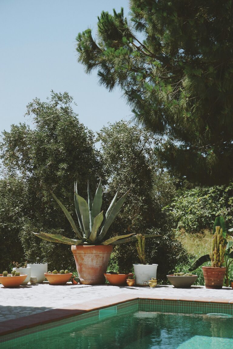 pexels dilrubasaricimen 8851518 1 Product Reviews