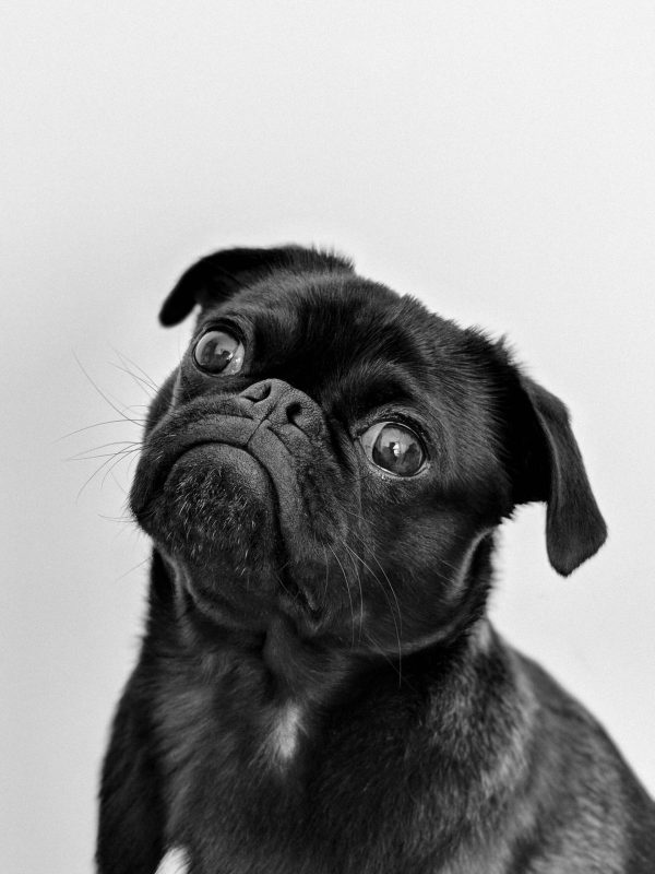 pexels-charlesdeluvio-1851164 pexels-charlesdeluvio-1851164